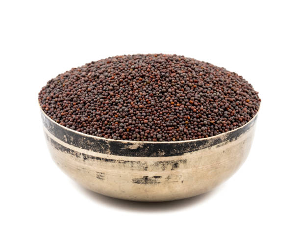 Common Brown Mustard Seeds